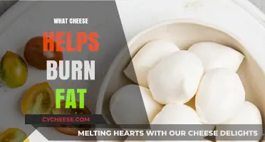 Cheese for Weight Loss: Top Fat-Burning Varieties to Try