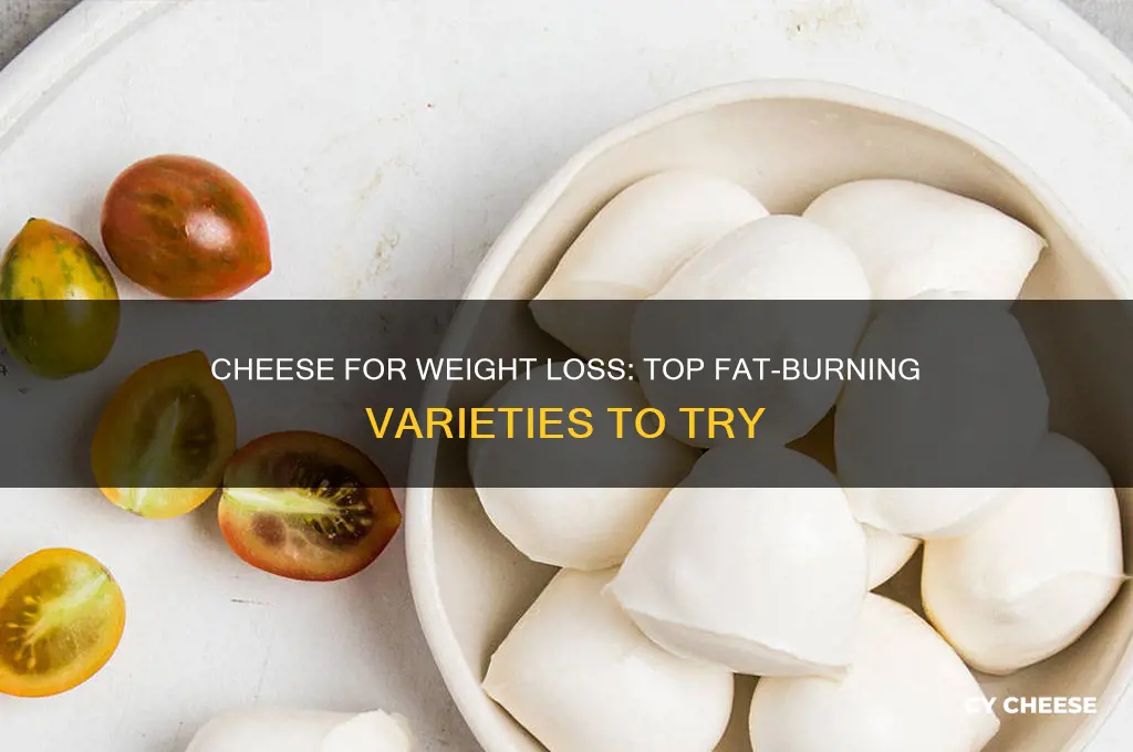 what cheese helps burn fat