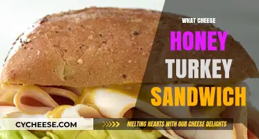 Delicious Cheese, Honey, and Turkey Sandwich Recipe: A Sweet & Savory Delight
