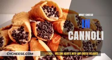 Sweet Surprise: Exploring the Cheese Inside Cannoli Filling