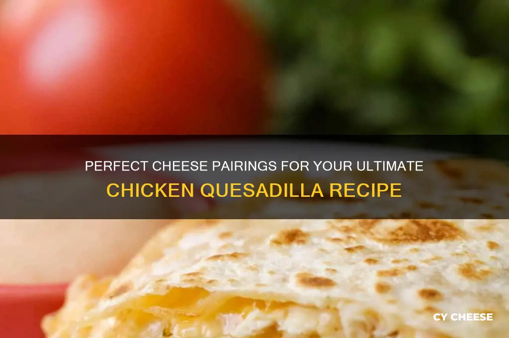 what cheese in chicken quesadilla