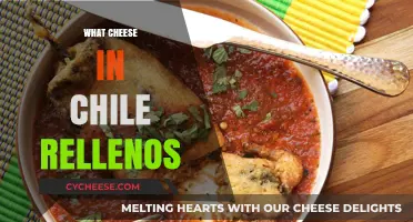 Discover the Perfect Cheese for Authentic Chile Rellenos Recipes