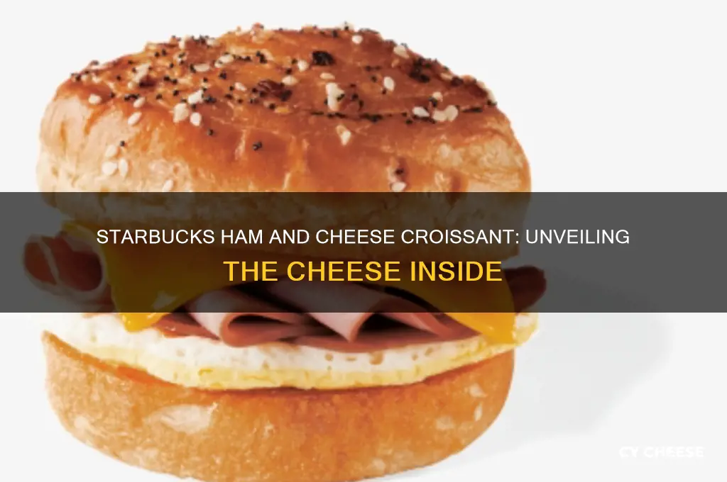 what cheese in ham and cheese croissant at starbucks
