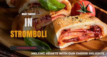 Discover the Perfect Cheese Blend for Your Stromboli Recipe