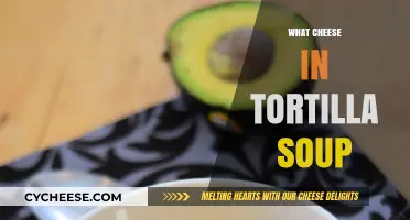 Cheesy Twist: Discover the Perfect Cheese for Tortilla Soup
