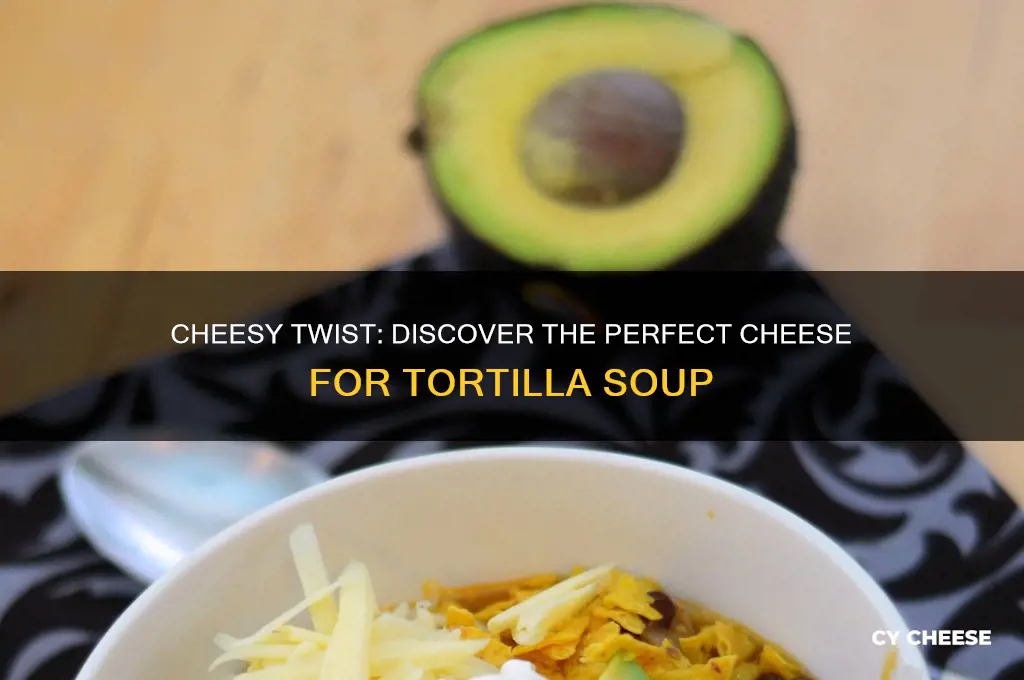 what cheese in tortilla soup