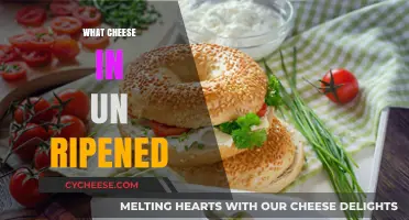 Fresh and Unripened: Exploring the World of Soft, Young Cheeses