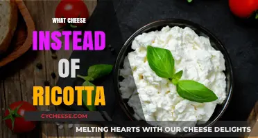 Creamy Alternatives: Best Cheese Substitutes for Ricotta in Your Recipes