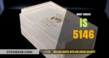 Unraveling the Mystery: What Cheese is 5146?