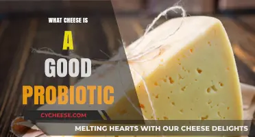 Boost Gut Health: Top Probiotic Cheeses for a Healthy Digestive System