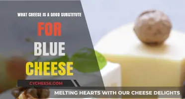 Best Blue Cheese Alternatives: Tasty Substitutes for Your Recipes