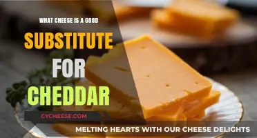 Best Cheddar Cheese Alternatives: Top Substitutes for Your Recipes