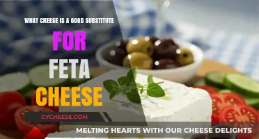 Perfect Feta Cheese Alternatives: Top Substitutes for Your Favorite Recipes