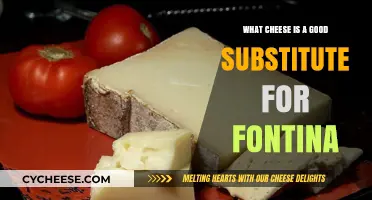 Best Fontina Cheese Substitutes: Top Alternatives for Your Recipes