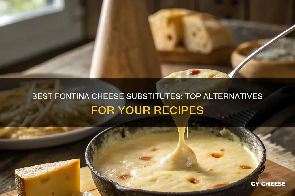 what cheese is a good substitute for fontina