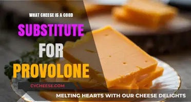 Best Provolone Cheese Substitutes: Flavorful Alternatives for Your Recipes