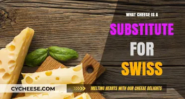 Cheeses to Swap for Swiss in Your Next Dish