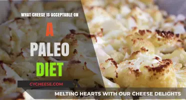 Paleo-Friendly Cheese Options: What’s Acceptable on Your Diet?