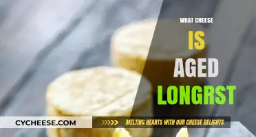 Exploring the World's Longest-Aged Cheese Varieties and Their Secrets