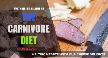Carnivore Diet Cheese Guide: Which Varieties Are Allowed and Why