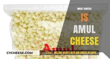 Exploring Amul Cheese: Origin, Types, and Culinary Uses