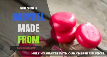 Babybel's Bountiful Blend: Unveiling the Cheesy Secret