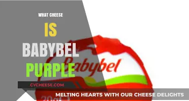 Unveiling the Mystery: What Cheese is Babybel Purple?