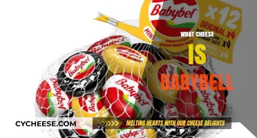 What is Babybel Cheese? Unwrapping the Mini Snack's Secrets