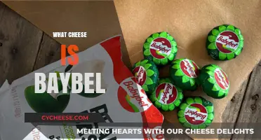 Discover the Creamy Delight: What Cheese is Baybel?