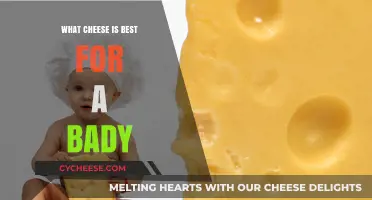 Cheese for Babies: What's Safe and Nutritious?