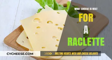 Raclette Cheese: The Best Melting Varieties