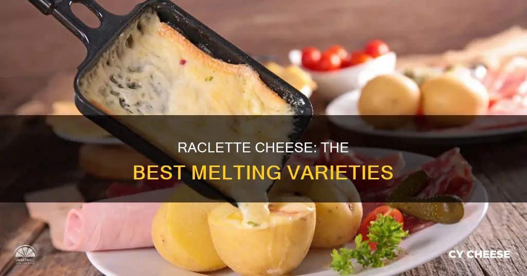 what cheese is best for a raclette