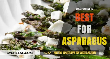 Cheese and Asparagus: The Perfect Pairing