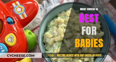 Best Cheeses for Babies: A Quick Guide