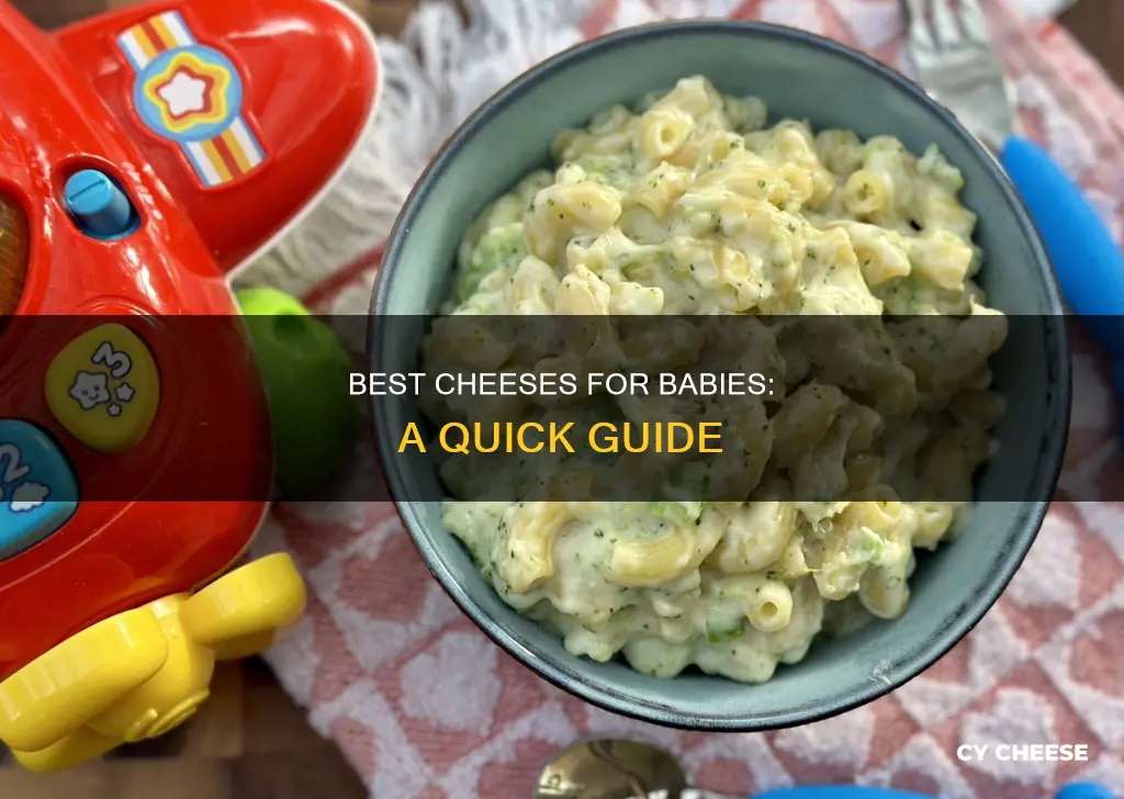 what cheese is best for babies