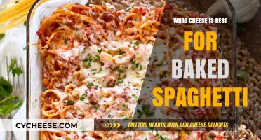 Best Cheeses for Baked Spaghetti Perfection