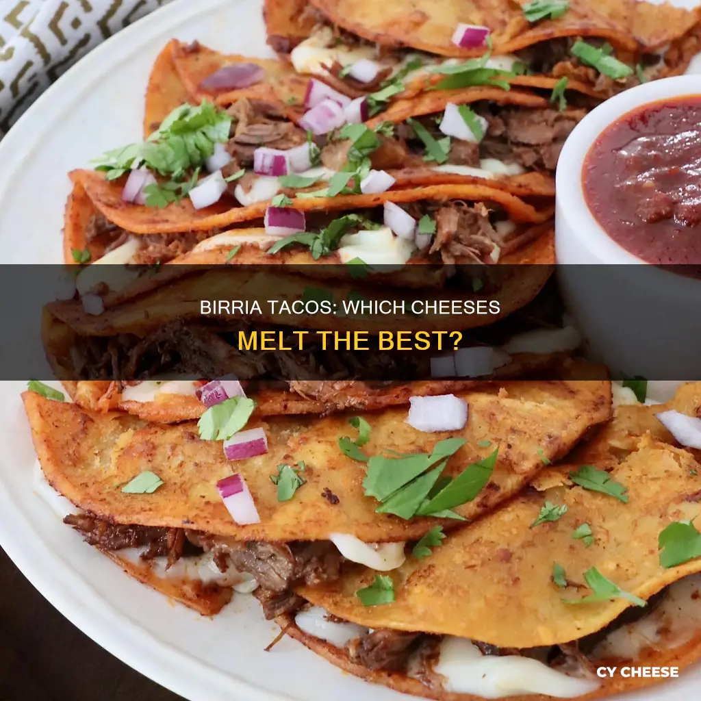 what cheese is best for birria tacos
