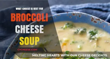 Cheese Secrets for Broccoli Soup Perfection