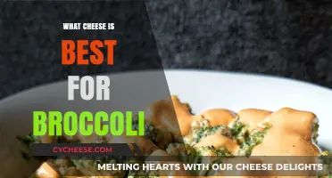 Best Cheeses to Pair with Broccoli