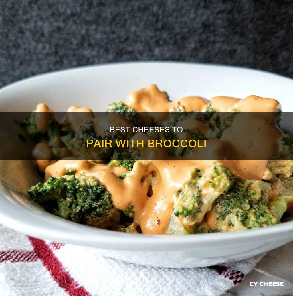 what cheese is best for broccoli