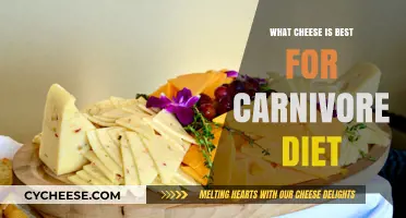 Carnivore Diet: Best Cheeses for Your Meals