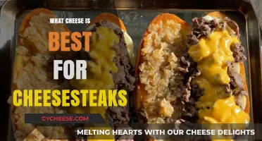 Cheesesteaks: The Ultimate Cheese Guide
