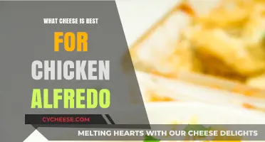 The Best Cheeses to Use in Chicken Alfredo