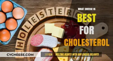 Cheese and Cholesterol: Best Types to Eat