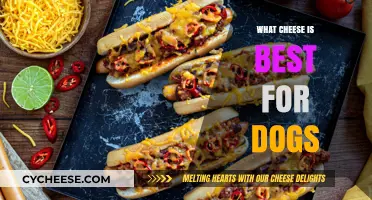 Cheese Treats for Dogs: Which Types Are Safe?