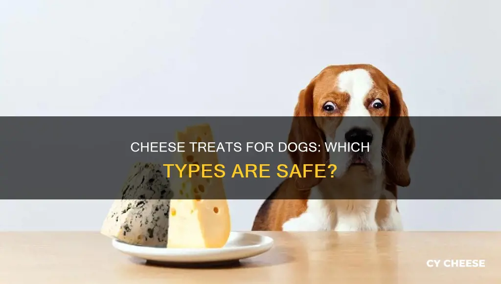 what cheese is best for dogs