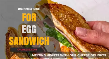 Cheese and Egg Sandwich: The Perfect Pairing