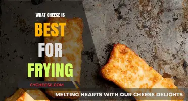Best Cheeses for Frying: Melt-in-Your-Mouth Deliciousness