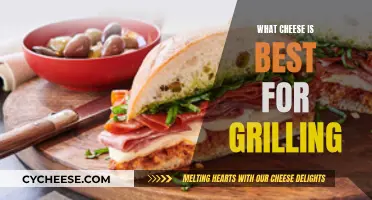 The Best Cheeses for Grilling: Melty, Toasty Deliciousness