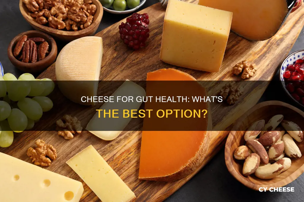 what cheese is best for gut health
